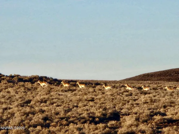 $15,997 | 0 Bird Ranch Road, Crescent Valley, NV 89821
