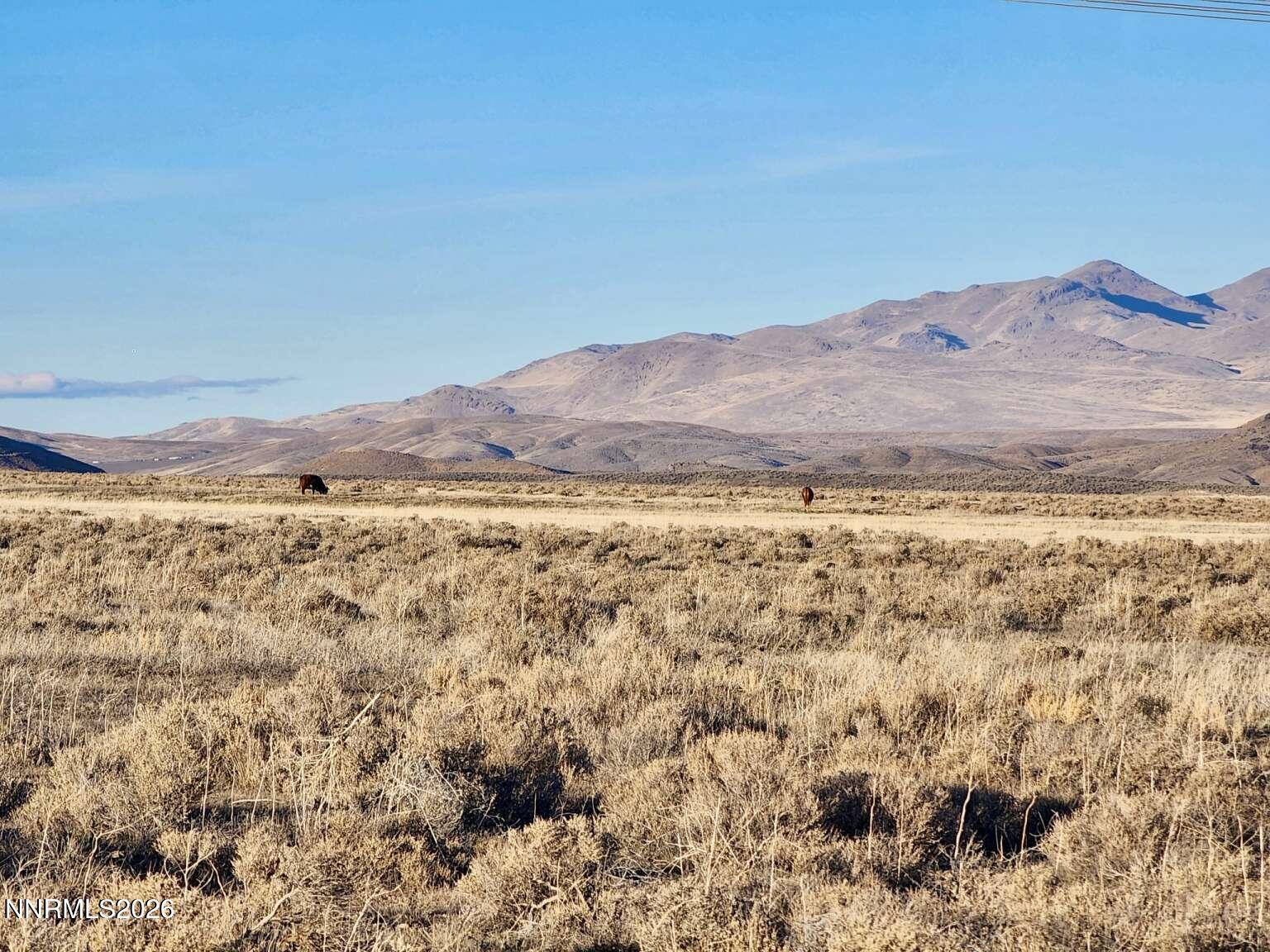 0 Bird Ranch Road Crescent Valley, NV 89821 - Photo 23 of 27 Sharp.23