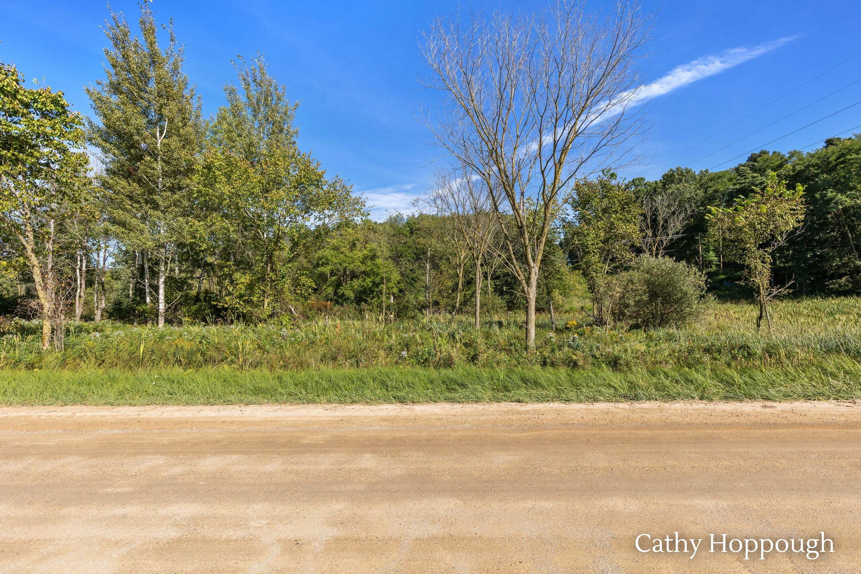 1218 North Marble Road Belding, MI 48809 - Photo 19 of 23 1218 N Marble_012