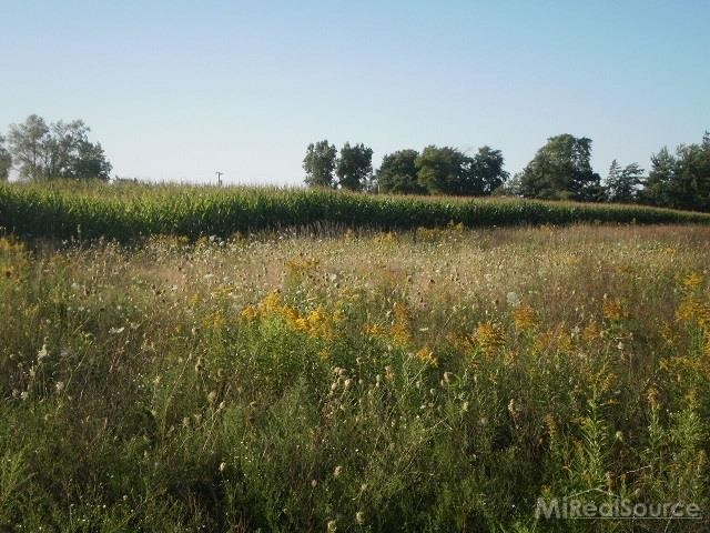 0 Metcalf Road Capac, MI 48014 - Photo 14 of 14