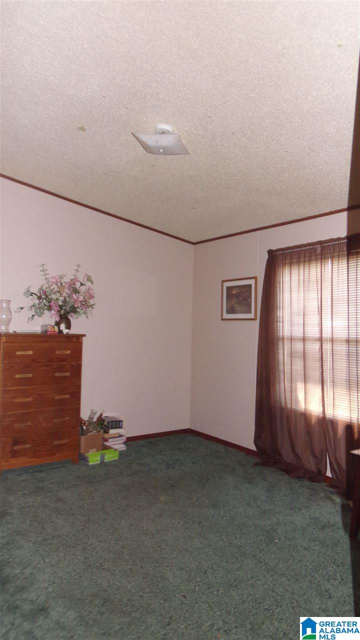 22125 Eastern Valley Road McCalla, AL 35111 - Photo 29 of 39