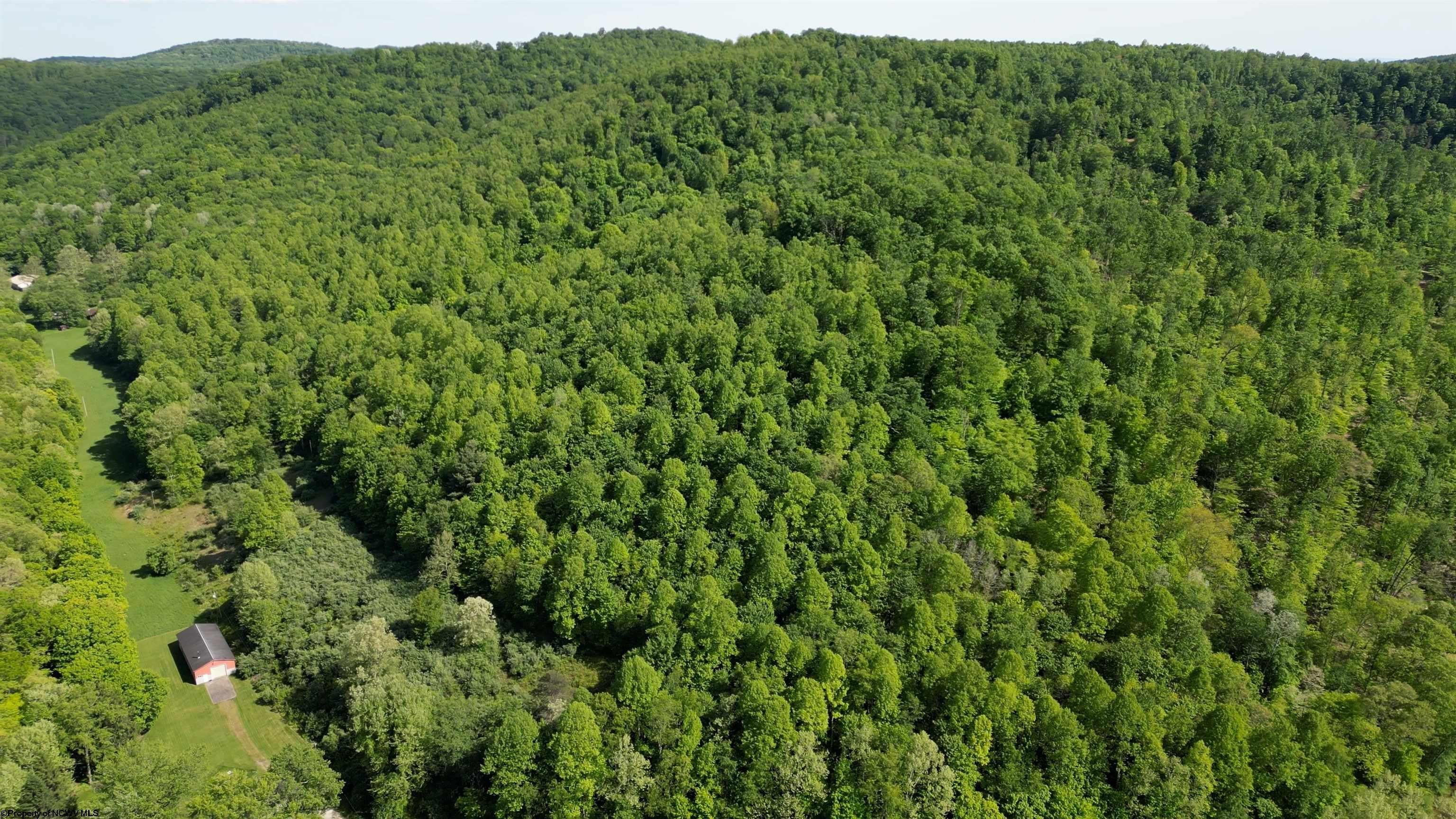 Tbd Dunham Lick Road Fairmont, WV 26554 - Photo 21 of 27 Gallery Image 21
