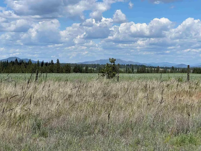 $175,000 | Xxx North Wood Road, Reardan, WA 99029