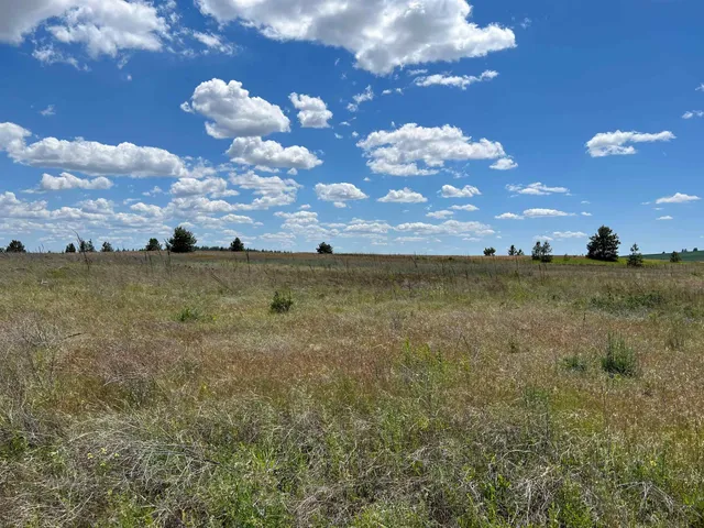 $175,000 | Xxx North Wood Road, Reardan, WA 99029