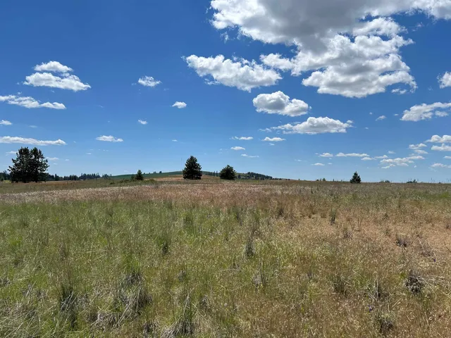 $175,000 | Xxx North Wood Road, Reardan, WA 99029