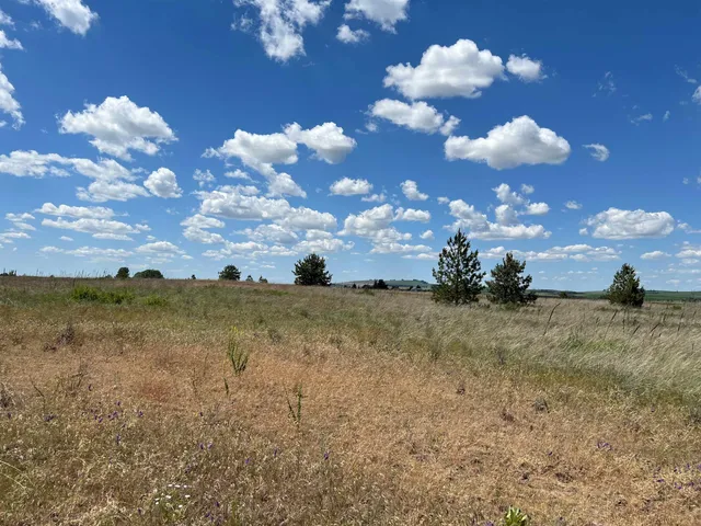 $175,000 | Xxx North Wood Road, Reardan, WA 99029