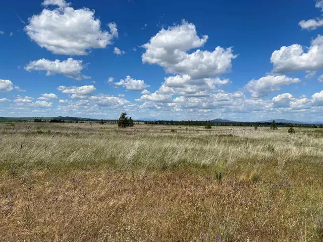 $175,000 | Xxx North Wood Road, Reardan, WA 99029