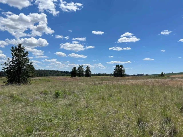 $175,000 | Xxx North Wood Road, Reardan, WA 99029