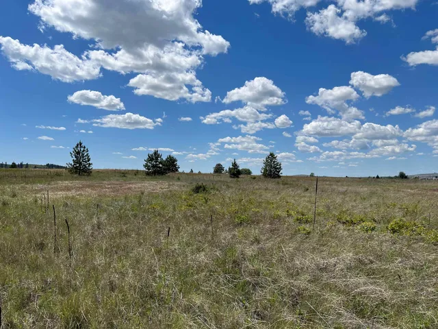 $175,000 | Xxx North Wood Road, Reardan, WA 99029