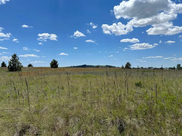 $175,000 | Xxx North Wood Road, Reardan, WA 99029