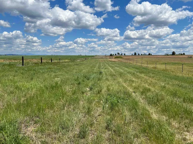 $175,000 | Xxx North Wood Road, Reardan, WA 99029