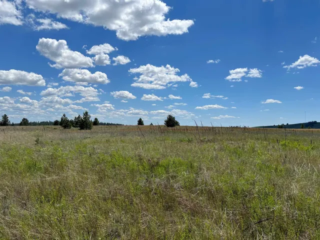 $175,000 | Xxx North Wood Road, Reardan, WA 99029