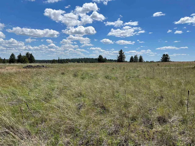 $175,000 | Xxx North Wood Road, Reardan, WA 99029