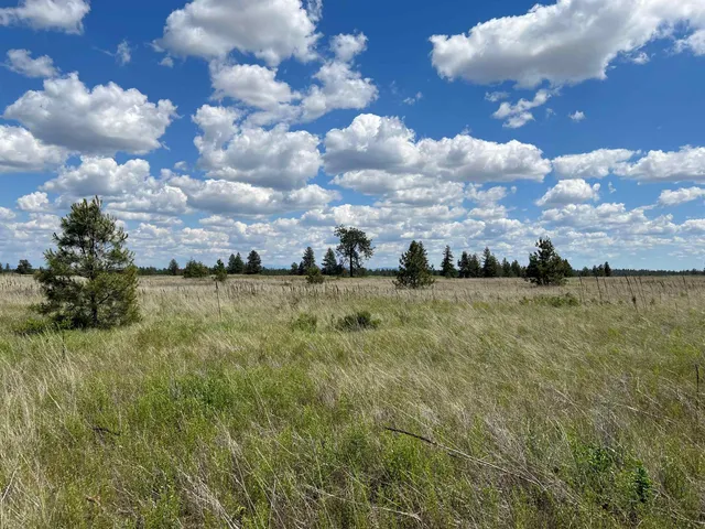 $175,000 | Xxx North Wood Road, Reardan, WA 99029