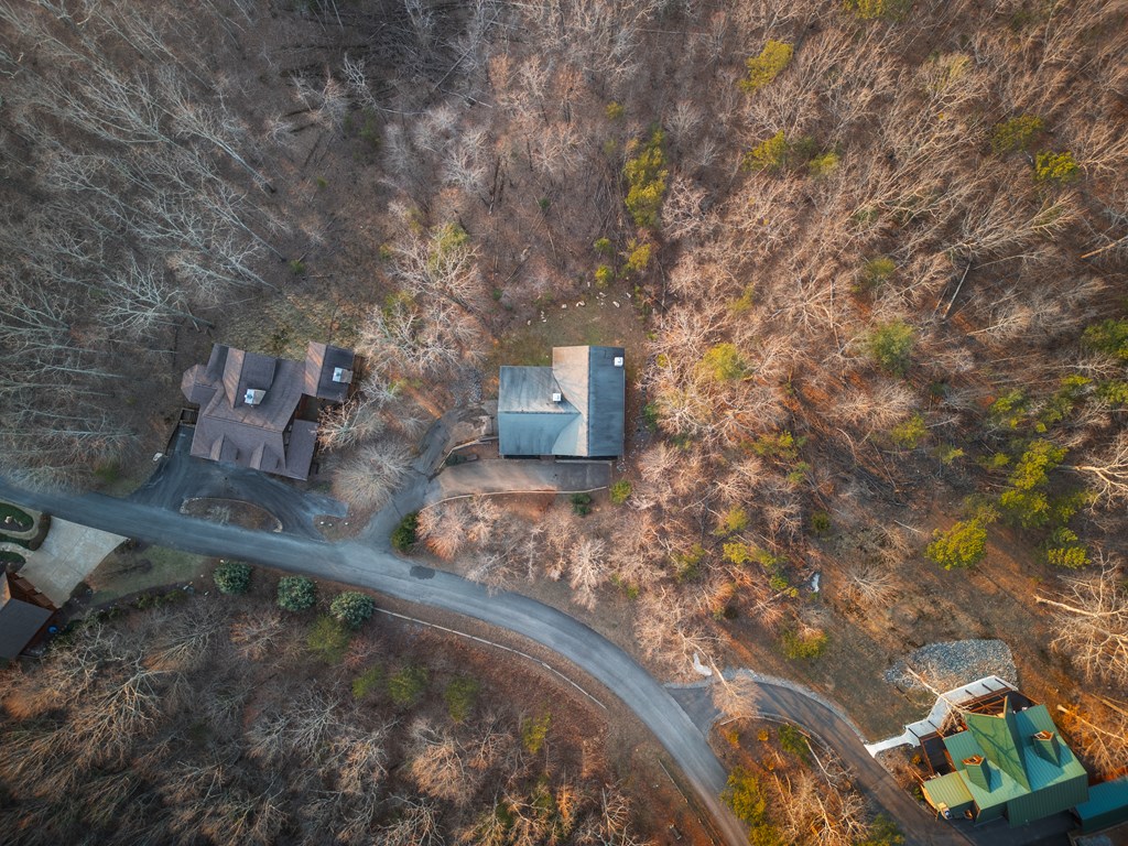 180 Cinnamon Bear Road Mineral Bluff, GA 30559 - Photo 41 of 46