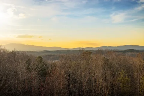 $987,000 | 180 Cinnamon Bear Road, Mineral Bluff, GA 30559