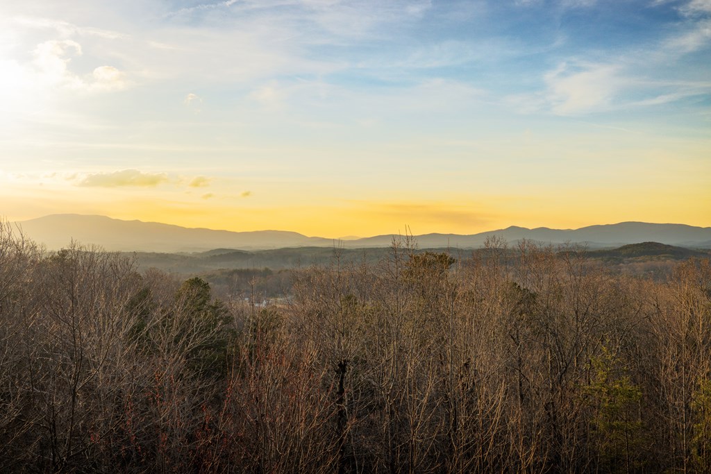 180 Cinnamon Bear Road Mineral Bluff, GA 30559 - Photo 46 of 46