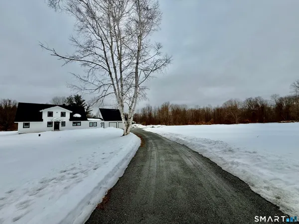 a view of street with large trees