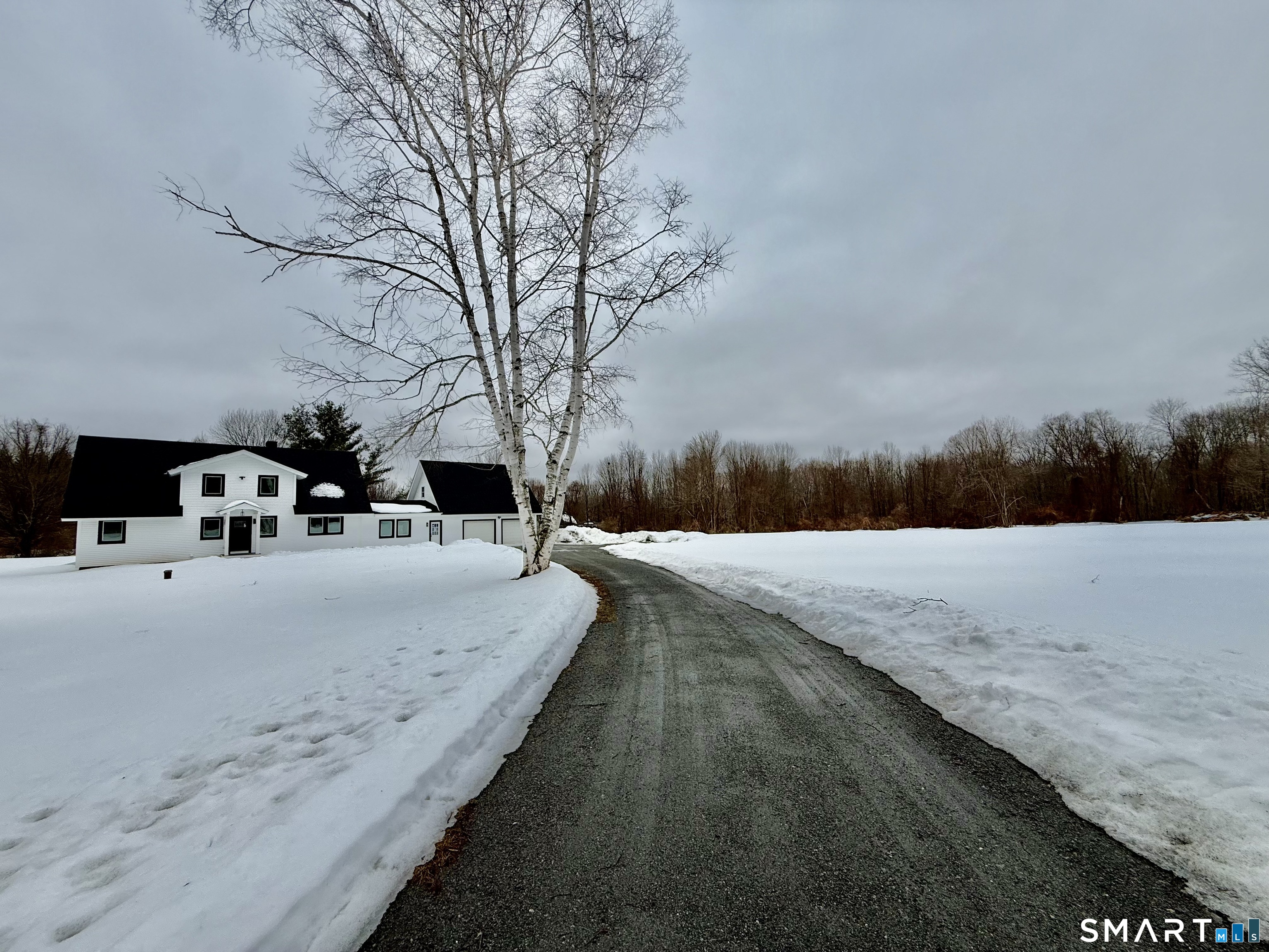 a view of street with large trees