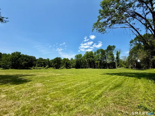 a view of a big yard with a large trees