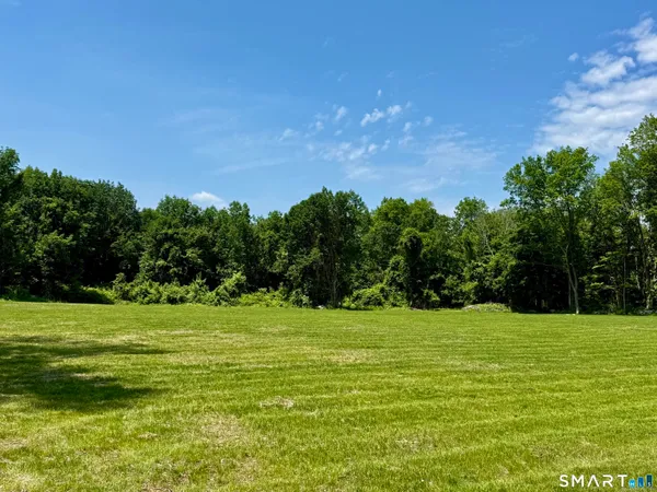 a view of a grassy field with trees in the background