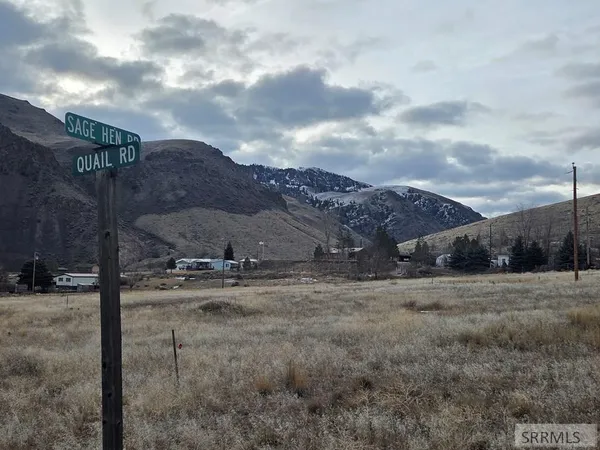 $60,000 | Nkn Sage Hen Drive, Salmon, ID 83467