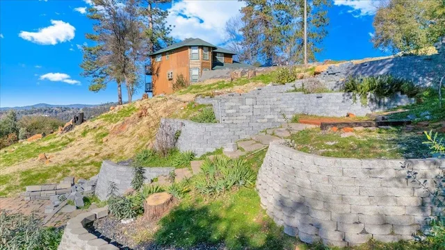 a view of a forest with a building