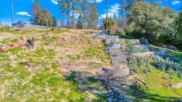 a view of a backyard