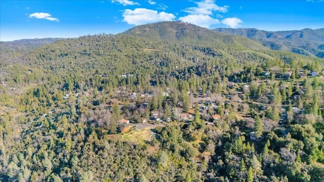 a view of a pathway with a yard