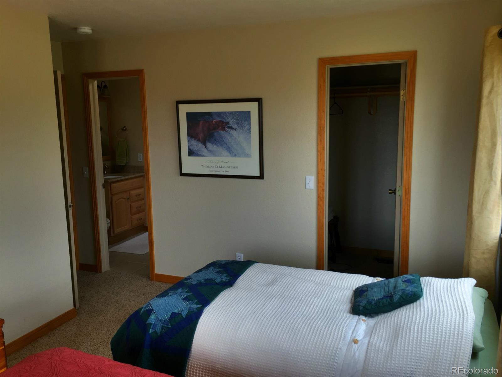 1469 Sheep Ridge Road Fairplay, CO 80440 - Photo 8 of 19 Gallery Image 8