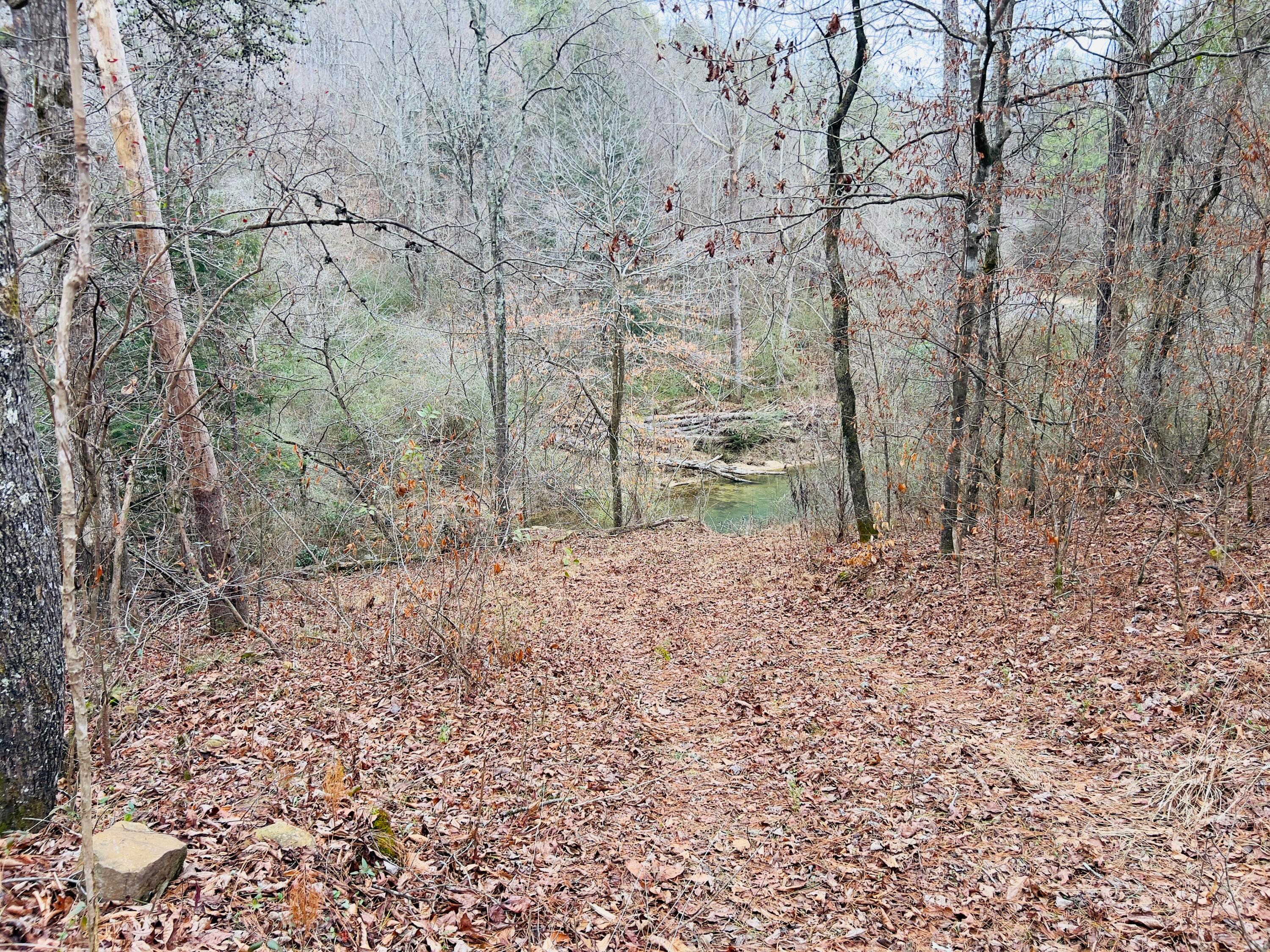39 Co Road Addison, AL 35540 - Photo 23 of 32 Gallery Image 23