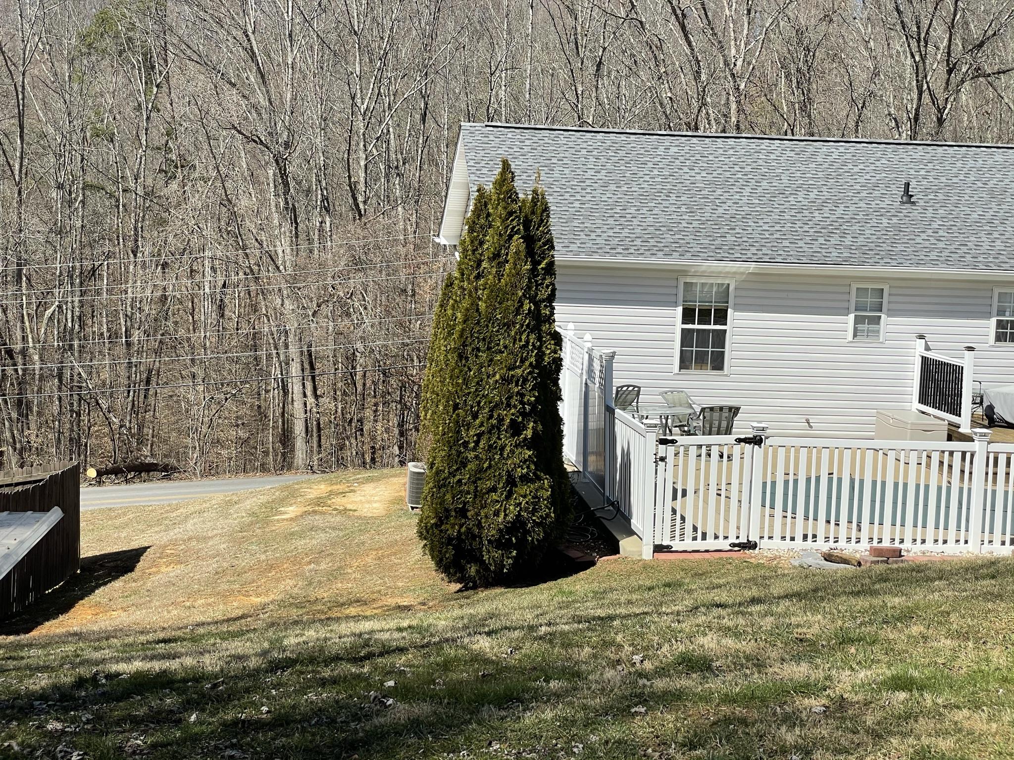 473 Egypt Road Bluff City, TN 37618 - Photo 79 of 86 IMG_5356