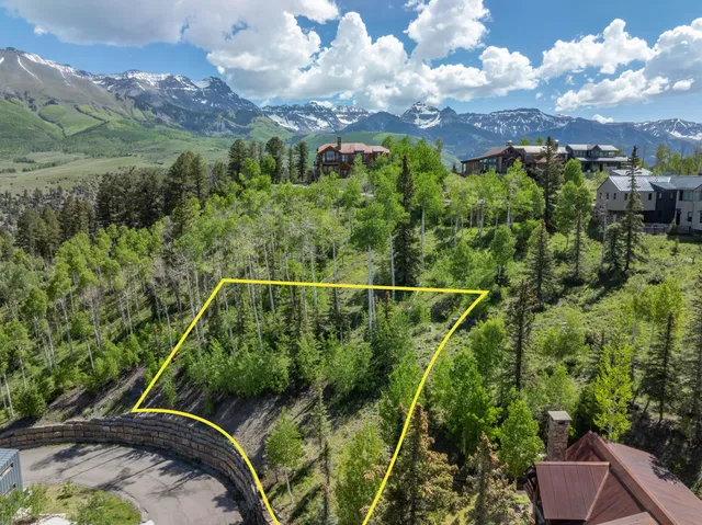a view of a lush green forest