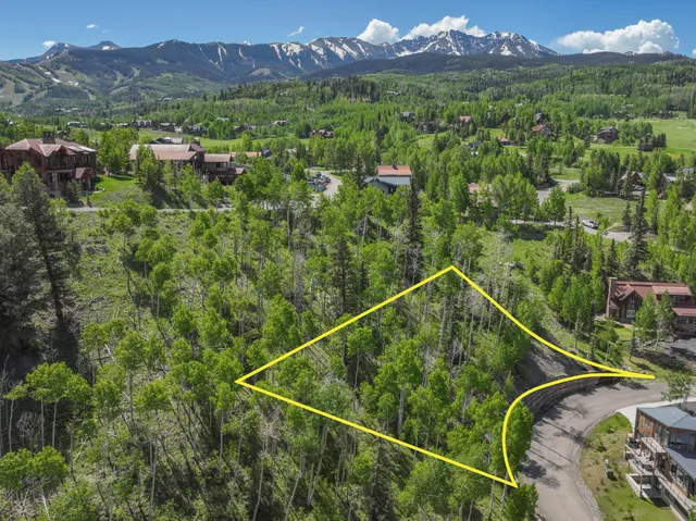 a view of a city with lush green forest