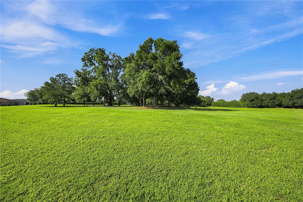 8060 Southwest 78th Terrace Road Ocala, FL 34476 - Photo 52 of 65 Gallery Image 52