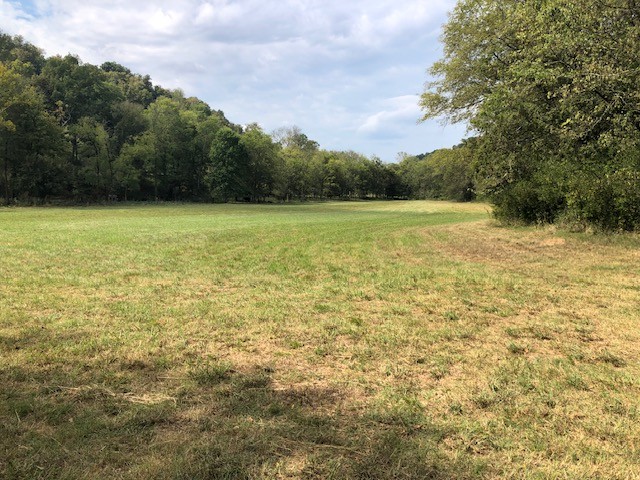 334 Cathcart Road Frankewing, TN 38459 - Photo 11 of 25 a view of an ocean and mountain