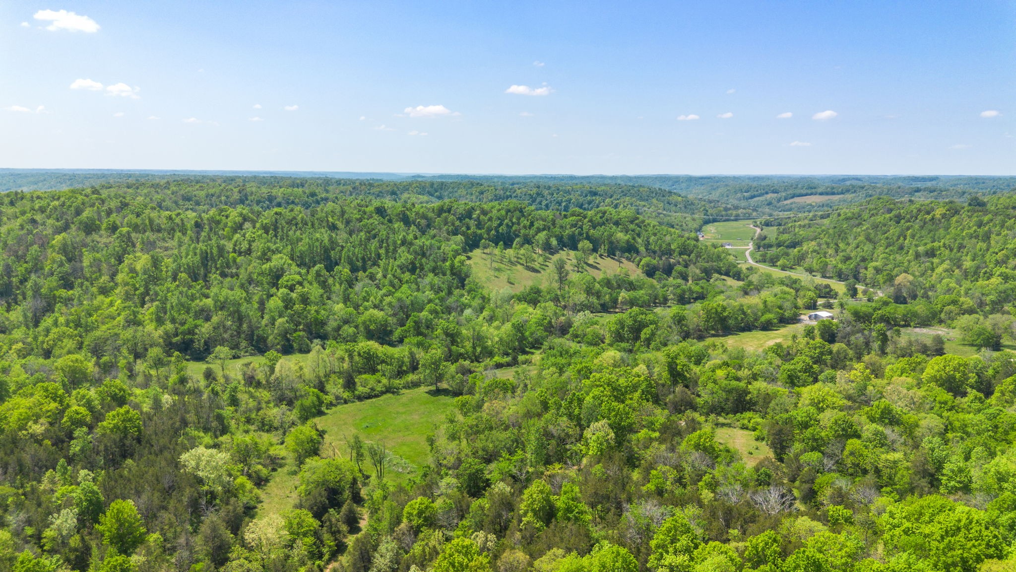 334 Cathcart Road Frankewing, TN 38459 - Photo 11 of 30 a view of a big yard with plants and large trees