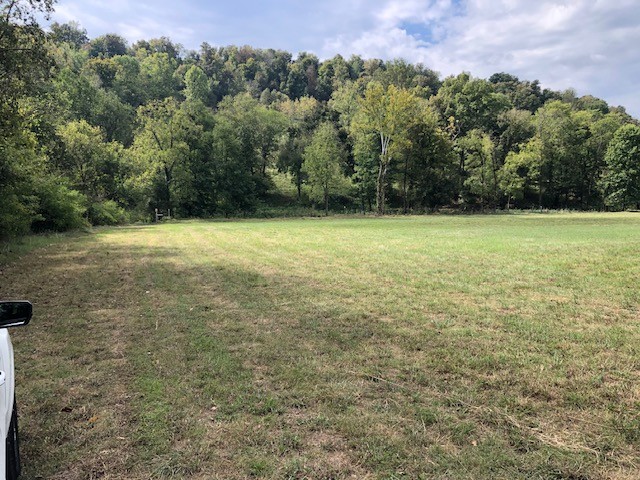 334 Cathcart Road Frankewing, TN 38459 - Photo 12 of 25 a view of a yard with a tree