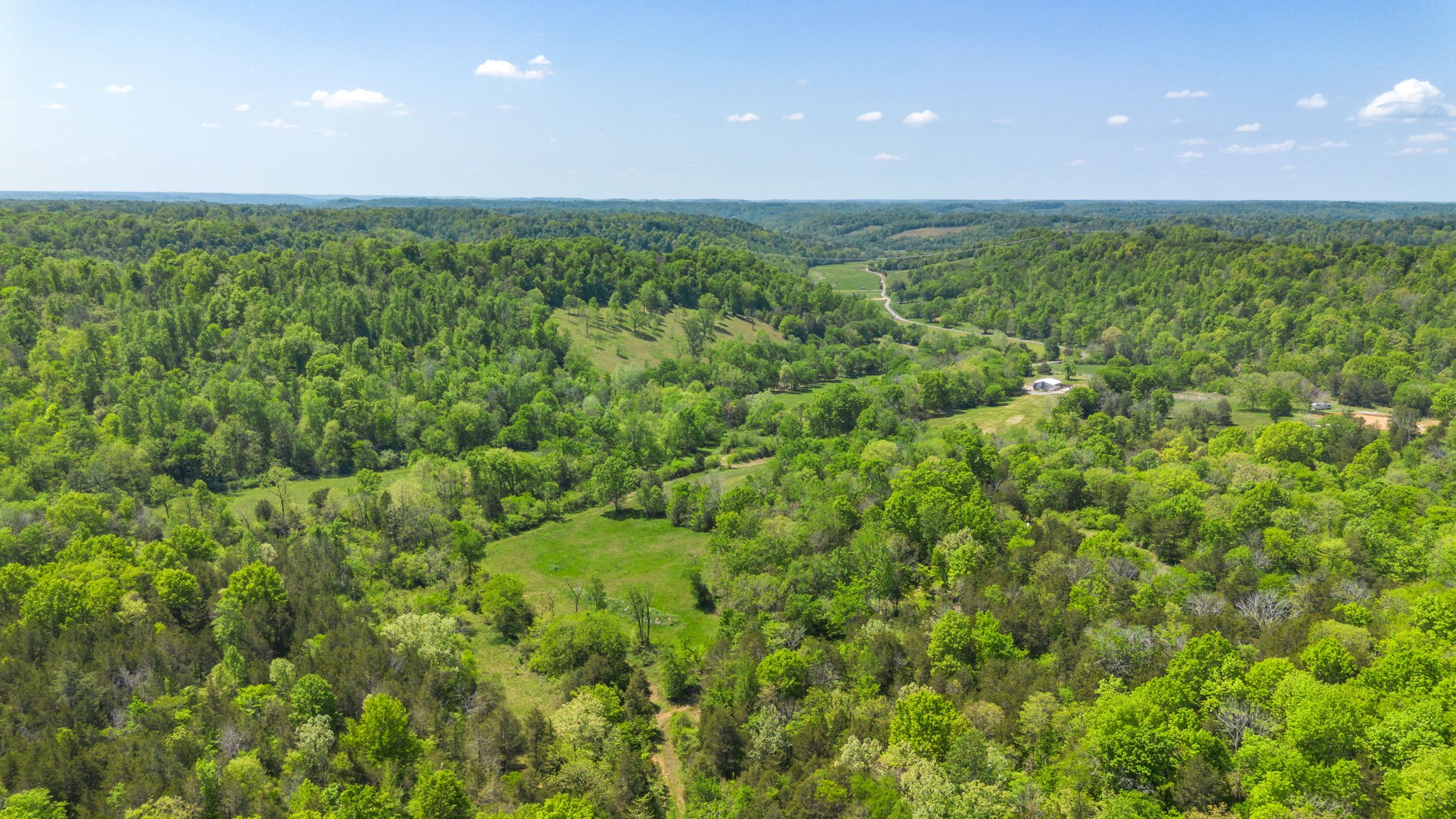 334 Cathcart Road Frankewing, TN 38459 - Photo 13 of 30