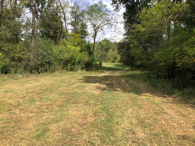 334 Cathcart Road Frankewing, TN 38459 - Photo 14 of 25 a view of a lake view