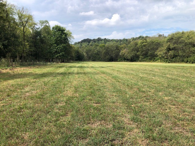 334 Cathcart Road Frankewing, TN 38459 - Photo 15 of 25 a view of a green field