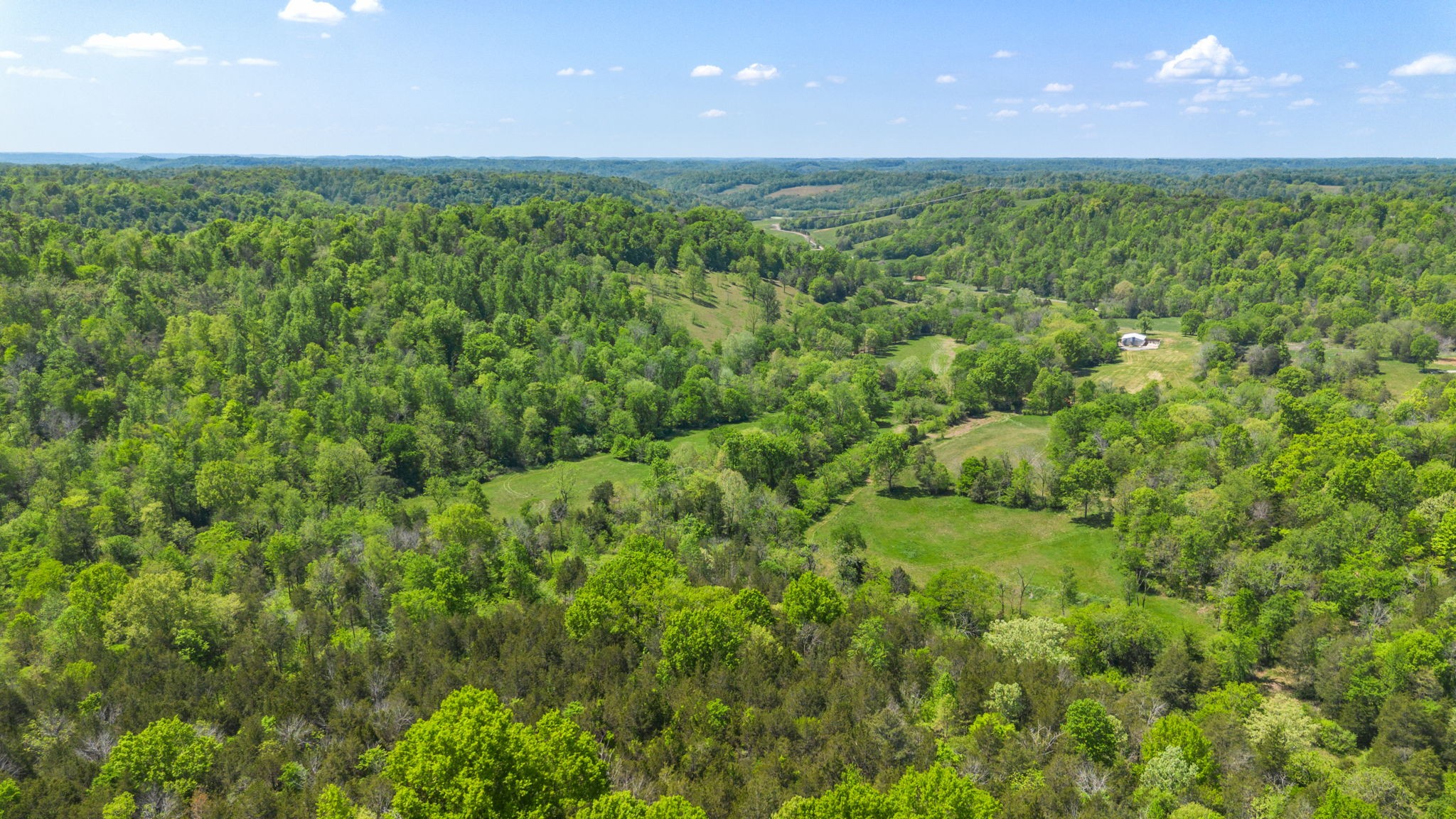 334 Cathcart Road Frankewing, TN 38459 - Photo 17 of 30 a view of a lush green space