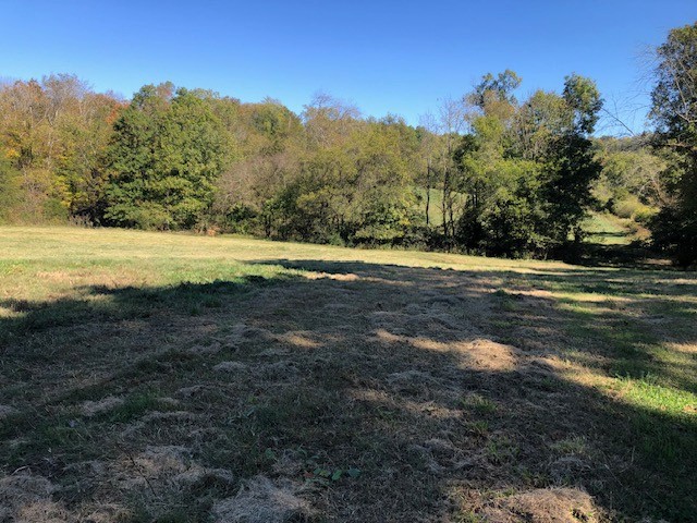334 Cathcart Road Frankewing, TN 38459 - Photo 17 of 25 a view of a lake view