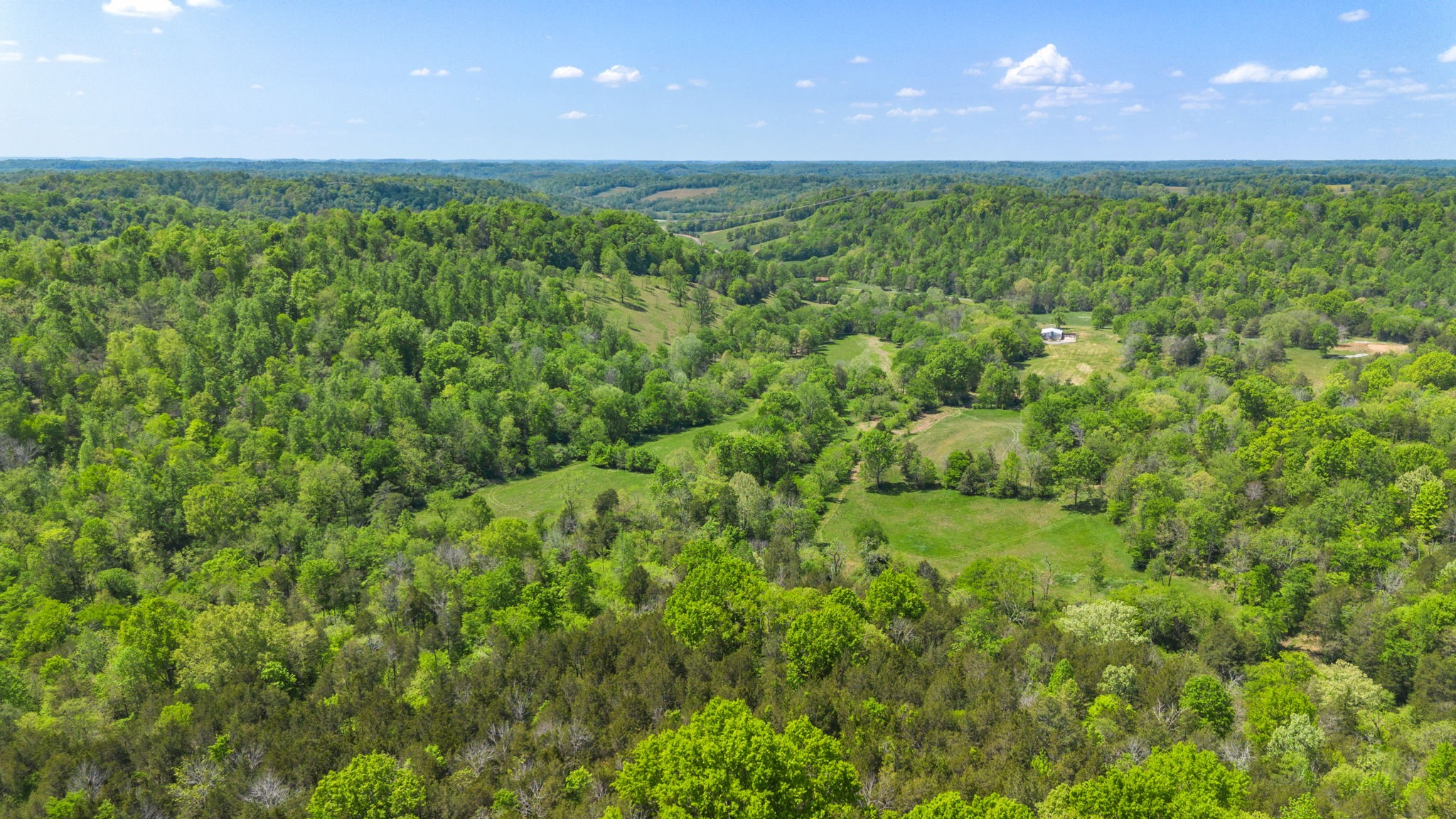 334 Cathcart Road Frankewing, TN 38459 - Photo 18 of 30 a view of a lush green space