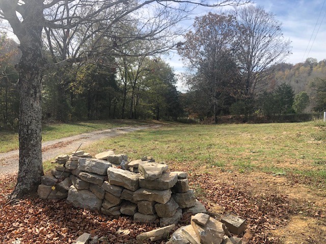 334 Cathcart Road Frankewing, TN 38459 - Photo 19 of 25 a view of a pathway with a yard