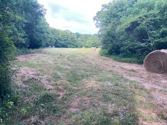334 Cathcart Road Frankewing, TN 38459 - Photo 2 of 25 a view of outdoor space and yard