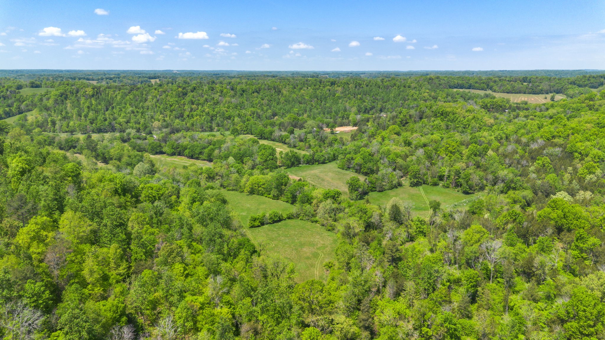 334 Cathcart Road Frankewing, TN 38459 - Photo 21 of 30 a view of a big yard with lots of green space