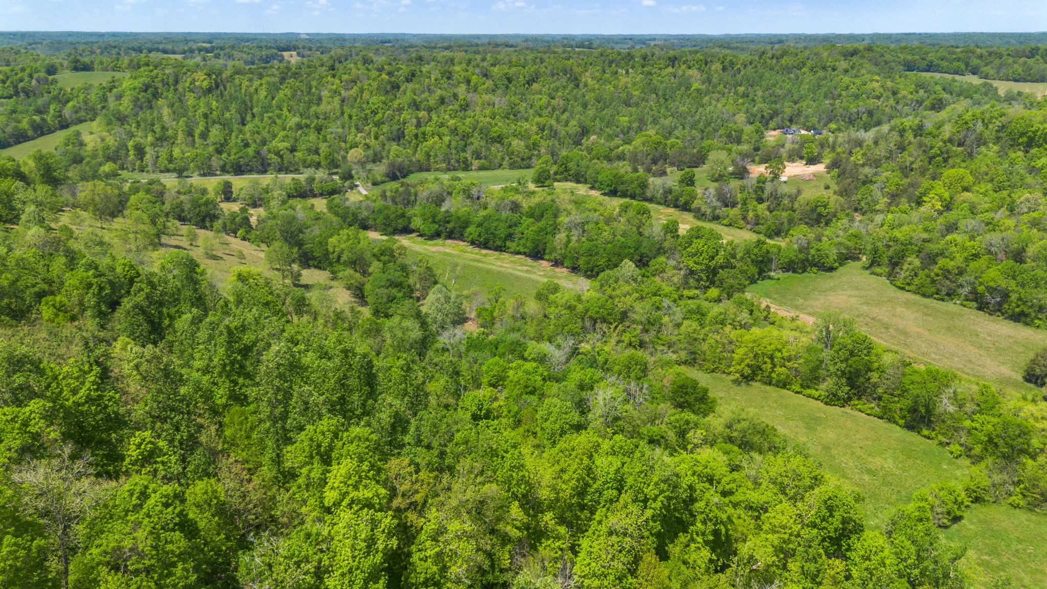 334 Cathcart Road Frankewing, TN 38459 - Photo 22 of 30 a view of a green field with lots of bushes