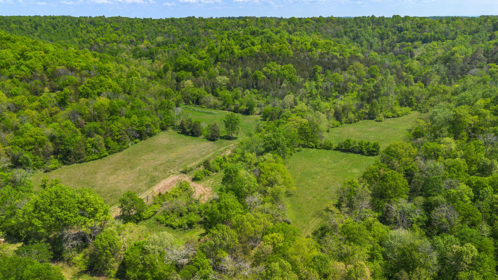 334 Cathcart Road Frankewing, TN 38459 - Photo 27 of 30 a view of a big yard with lots of green space and bushes