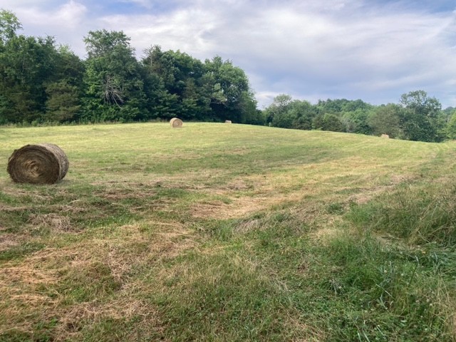 334 Cathcart Road Frankewing, TN 38459 - Photo 4 of 25 a view of a field with an trees in the background